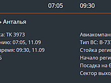 В Тюмени на 2,5 часа задержан рейс в Турцию