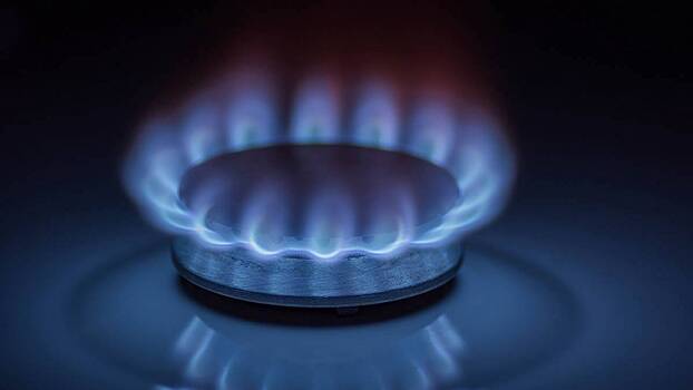 Цены на газ в ЕС опустились до предшествовавших СВО уровней