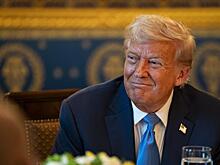 Подсчитано, сколько бомбежек устроил Трамп