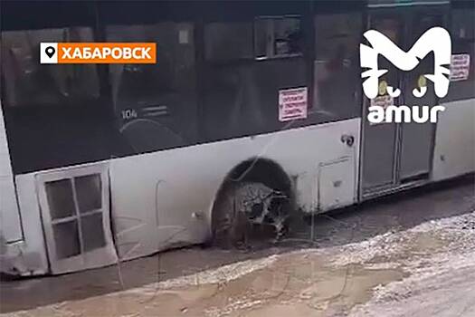 Два автобуса с россиянами провалились в ямы и попали на видео