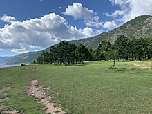 Туристы встретили медведя на Большой Байкальской тропе в Приангарье