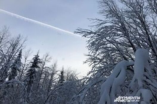 Последняя неделя января начнётся в Перми с двадцатиградусных морозов