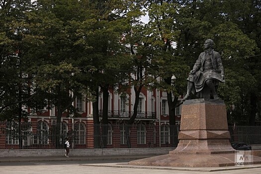 Петербургские вузы пересмотрят образовательные планы из-за «удалёнки»