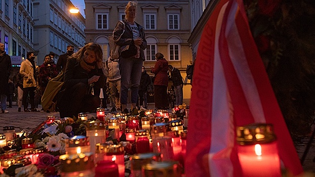 В Австрии раскрыли подробности задержаний в связи с терактом в Вене