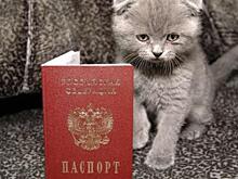 В Госдуме предложили ввести обязательную регистрацию домашних животных по всей России