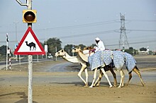 Климат Арабских Эмиратов изменят айсберги