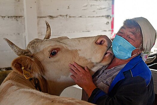 Как принципы бережливого производства избавили доярок от суеты