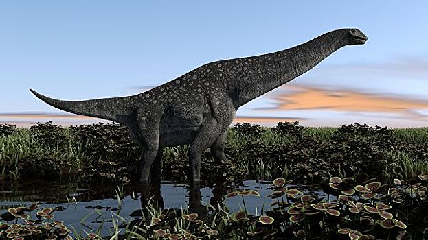 Россия оказалась "родиной" древнейших титанозавров