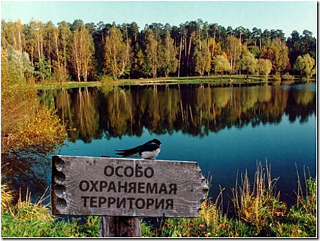 В Калининграде обсуждают новый Порядок перевода городских земель в особо охраняемые природные территории
