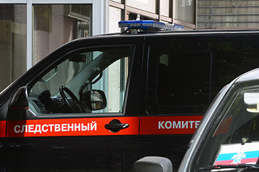 Следователи проверяют обстоятельства самоубийства школьницы из Москвы