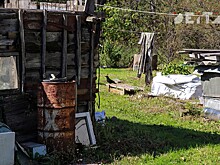 Как правильно выбрать дачу для аренды, рассказал председатель Союза дачников Подмосковья