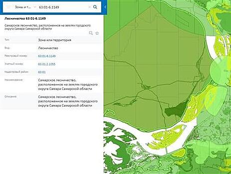 Кассация отказала в пересмотре скандального дела о лесном фонде Самары
