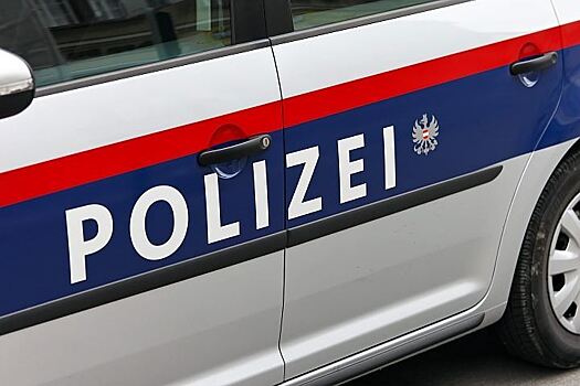 Пять человек погибли в результате столкновения автобуса с опорой моста в Австрии