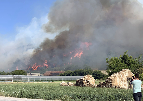 Власти Турции сообщили, что лесные пожары не угрожают объектам туризма