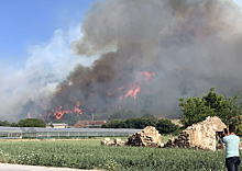 Власти Турции сообщили, что лесные пожары не угрожают объектам туризма