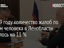 В 2019 году количество жалоб по правам человека в Ленобласти снизилось на 11 %