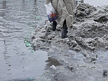 Снежный коллапс и Моргенштерн на помойке: о чем говорят петербуржцы в сетях