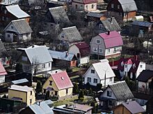 Что посадить на огороде поздней осенью