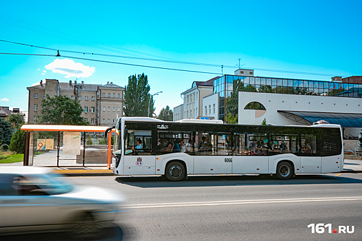 Ростовского водителя - «подростка» накажут за хамство пассажиру
