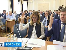 Воронежцы оспорят в суде запрет думы на конференцию об отмене выборов мэра