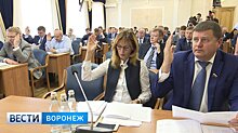 Воронежцы оспорят в суде запрет думы на конференцию об отмене выборов мэра