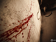 Проходивший мимо компании силовик спас раненого биробиджанца