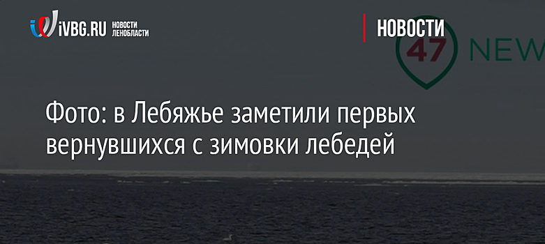Фото: в Лебяжье заметили первых вернувшихся с зимовки лебедей