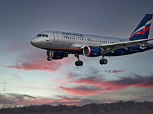 Экс-депутат чуть не сорвал рейс «Аэрофлота» из Бодрума в Москву