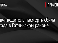 Девушка-водитель насмерть сбила пешехода в Гатчинском районе