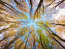 «Ноябрь будет бешеным». Синоптики неожиданно изменили прогноз