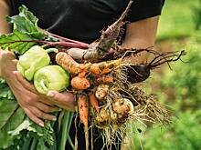 Эколог Рыбальченко спрогнозировал аграрный бум в России благодаря суровой зиме