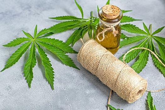 Специалисты рассказали волгоградцам о плюсах коноплеводства