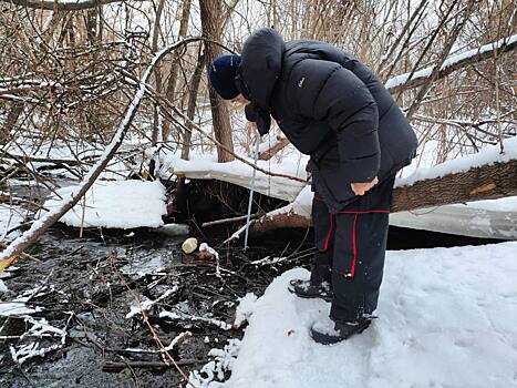 Природоохранная прокуратура заинтересовалась сбросом сточных вод в реку Тула в Новосибирске