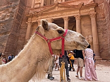 По примеру Китая: куда еще россияне смогут поехать без виз