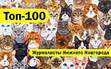Топ-100 Самые лучшие журналисты Нижнего Новгорода