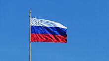 Сорвавший флаг России в спортшколе россиянин получил четыре года колонии