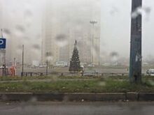 В Воронеже установили первую новогоднюю елку