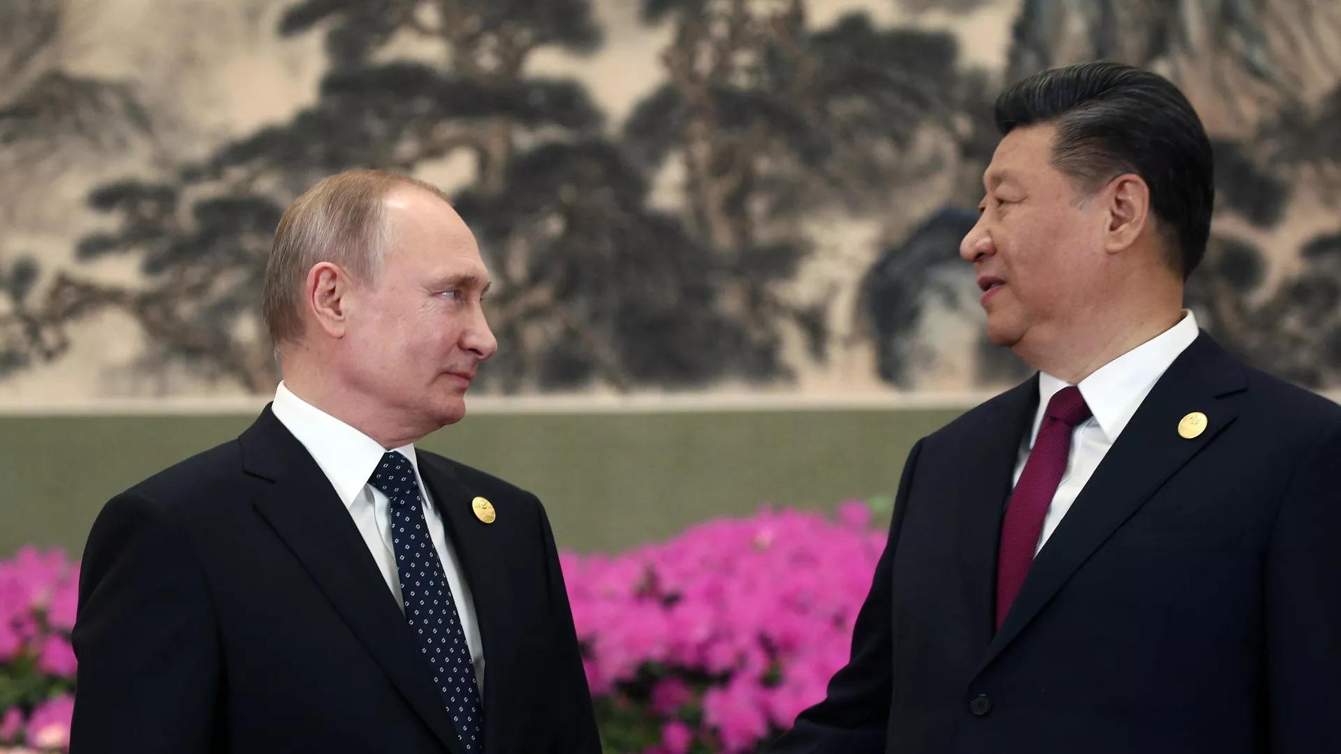 Стало известно, какие угощения подали на стол во время чаепития Путина и Си Цзиньпина