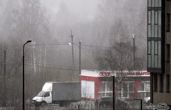 В Екатеринбурге первые летние дни будут дождливыми