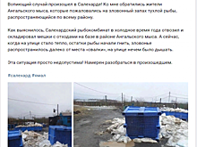 Жители столицы Ямала изнывают от запаха гниющей рыбы