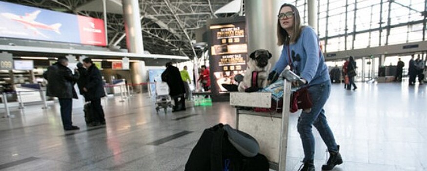 АТОР: Турция намерена возобновить рейсы для российских туристов в июне
