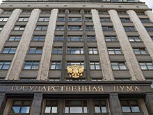 Депутат Милонов выступил против запрета квадробики и движения фурри