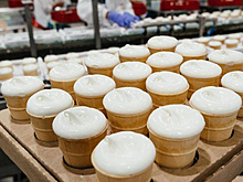 Нижегородскую фабрику мороженого оштрафовали на 100 тысяч рублей