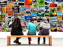 В московской Alpert Gallery состоялась первая персональная выставка эко-художника Александра Чеглакова