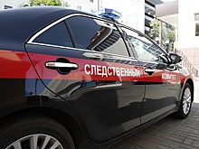 Бастрыкин потребовал доклад о расследовании убийства матери подростком в Сочи