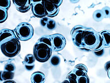 "Этого все и боялись". Ученые заявили о рождении неуязвимого вируса оспы