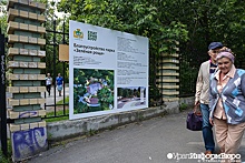 Мэрия Екатеринбурга пошла на уступки защитникам парка "Зеленая роща"