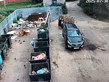 Курянин выбросил строительный мусор и получил штраф
