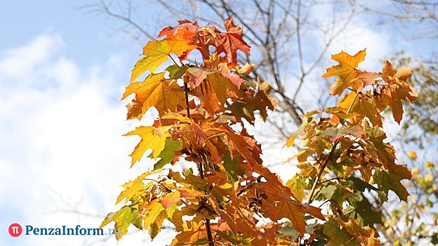 В Пензенской области ожидаются ливни с мокрым снегом