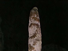 Установлена причина краха древней цивилизации Шицзяхэ